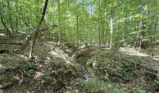 Photo #18 of Off of Buttonwood Ln Lot 5, Roxboro, NC 5.1 acres