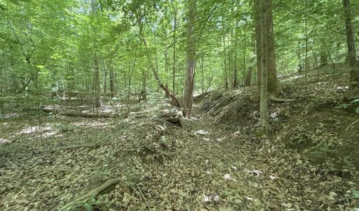 Photo #19 of Off of Buttonwood Ln Lot 5, Roxboro, NC 5.1 acres