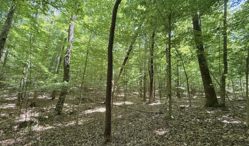 Photo #20 of Off of Buttonwood Ln Lot 5, Roxboro, NC 5.1 acres
