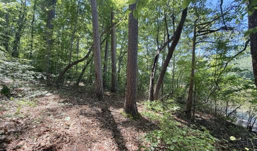 Photo #25 of Off of Buttonwood Ln Lot 5, Roxboro, NC 5.1 acres