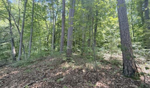 Photo #29 of Off of Buttonwood Ln Lot 5, Roxboro, NC 5.1 acres