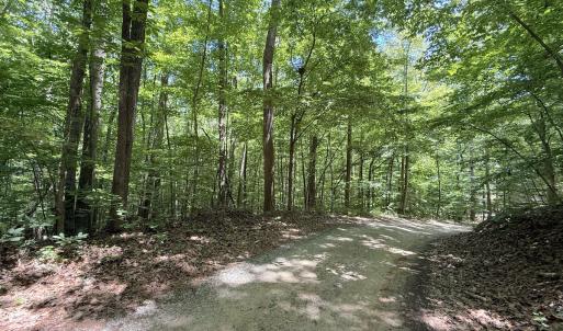 Photo #7 of Off of Buttonwood Ln Lot 5, Roxboro, NC 5.1 acres