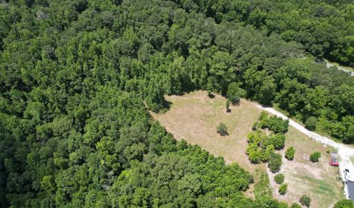 Photo #11 of Off of Old Chinquapin Rd, Beulaville, NC 3.7 acres
