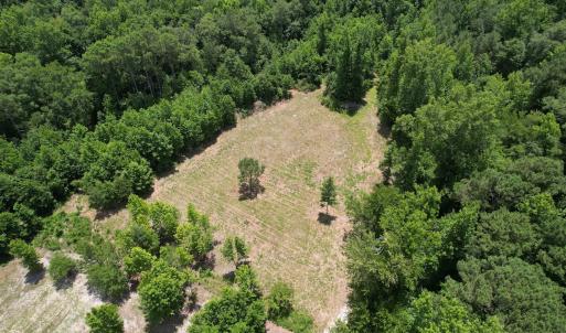 Photo #14 of Off of Old Chinquapin Rd, Beulaville, NC 3.7 acres