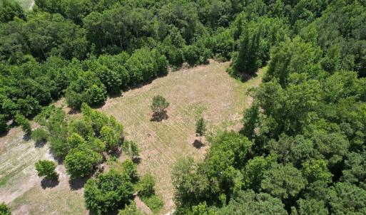 Photo #15 of Off of Old Chinquapin Rd, Beulaville, NC 3.7 acres