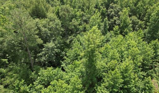 Photo #21 of Off of Old Chinquapin Rd, Beulaville, NC 3.7 acres