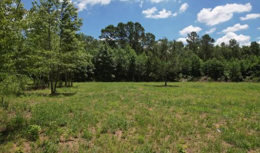 Photo #22 of Off of Old Chinquapin Rd, Beulaville, NC 3.7 acres