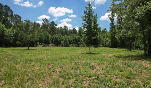 Photo #23 of Off of Old Chinquapin Rd, Beulaville, NC 3.7 acres