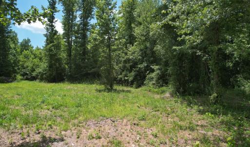 Photo #24 of Off of Old Chinquapin Rd, Beulaville, NC 3.7 acres