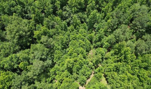 Photo #26 of Off of Old Chinquapin Rd, Beulaville, NC 3.7 acres