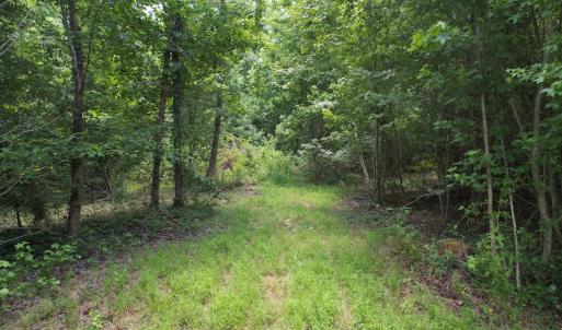 Photo #28 of Off of Old Chinquapin Rd, Beulaville, NC 3.7 acres