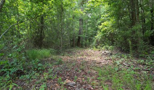 Photo #29 of Off of Old Chinquapin Rd, Beulaville, NC 3.7 acres