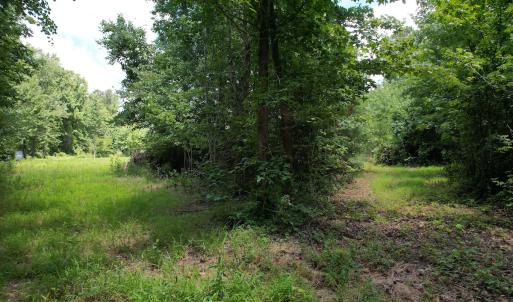 Photo #30 of Off of Old Chinquapin Rd, Beulaville, NC 3.7 acres