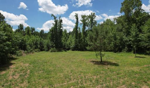 Photo #34 of Off of Old Chinquapin Rd, Beulaville, NC 3.7 acres