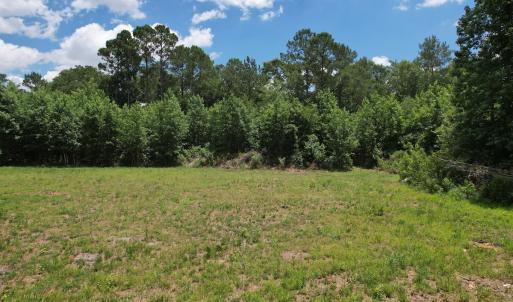 Photo #36 of Off of Old Chinquapin Rd, Beulaville, NC 3.7 acres