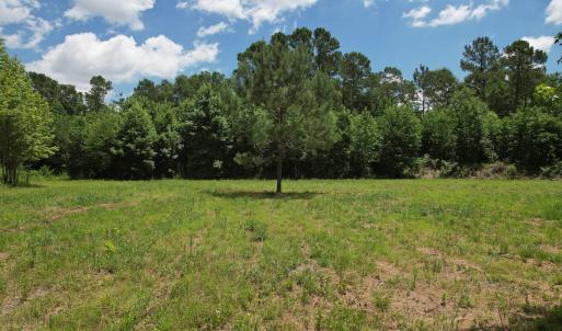 Photo #38 of Off of Old Chinquapin Rd, Beulaville, NC 3.7 acres