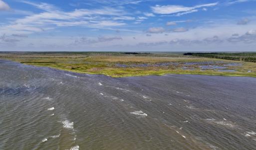 Photo #9 of Off US Hwy 264, Engelhard, NC 500.0 acres
