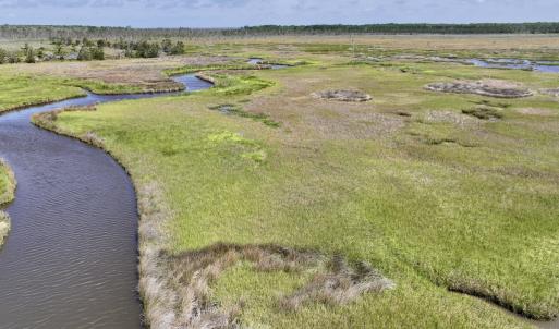 Photo #22 of Off US Hwy 264, Engelhard, NC 500.0 acres