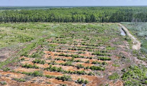 Photo #24 of Off US Hwy 264, Engelhard, NC 500.0 acres