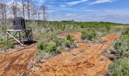 Photo #25 of Off US Hwy 264, Engelhard, NC 500.0 acres