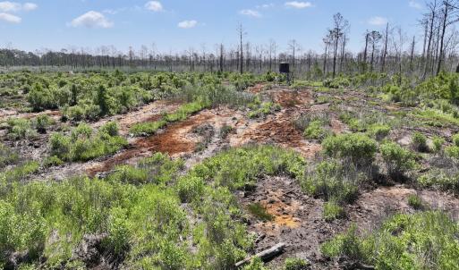 Photo #26 of Off US Hwy 264, Engelhard, NC 500.0 acres