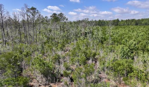 Photo #27 of Off US Hwy 264, Engelhard, NC 500.0 acres