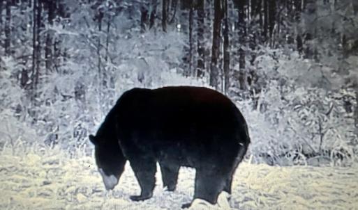 Photo #30 of Off US Hwy 264, Engelhard, NC 500.0 acres