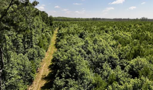 Photo #32 of Off US Hwy 264, Engelhard, NC 500.0 acres
