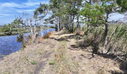 Photo #36 of Off US Hwy 264, Engelhard, NC 500.0 acres