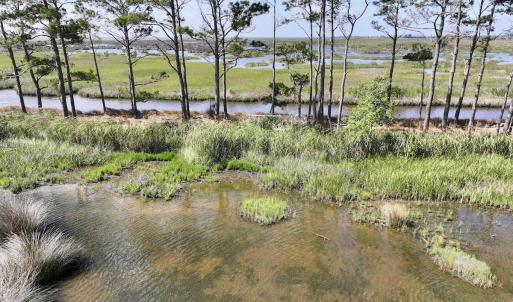Photo #38 of Off US Hwy 264, Engelhard, NC 500.0 acres