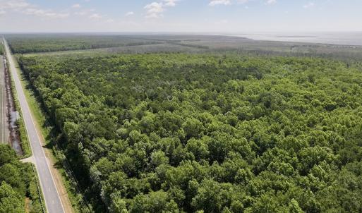 Photo #54 of Off US Hwy 264, Engelhard, NC 500.0 acres