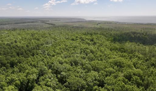 Photo #55 of Off US Hwy 264, Engelhard, NC 500.0 acres