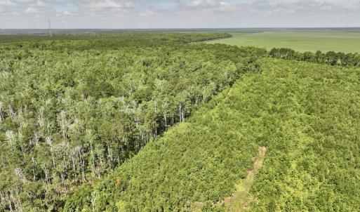 Photo #59 of Off US Hwy 264, Engelhard, NC 500.0 acres