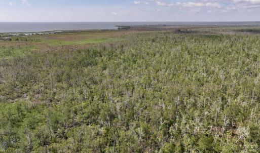 Photo #60 of Off US Hwy 264, Engelhard, NC 500.0 acres
