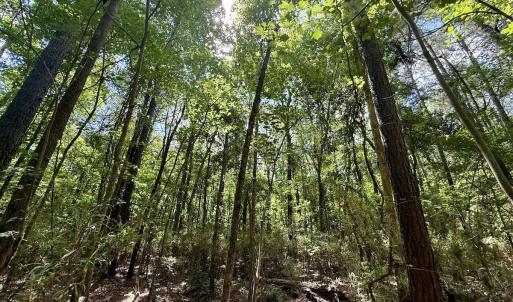 Photo #67 of Off US Hwy 264, Engelhard, NC 500.0 acres