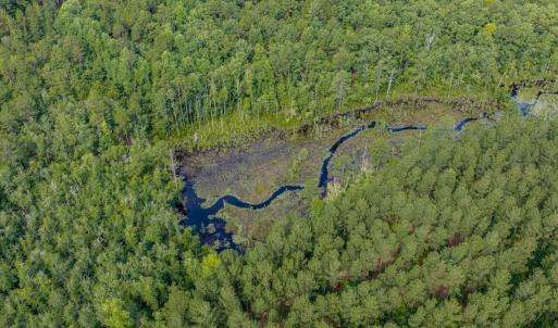 Photo #10 of Off of US Hwy 1, Patrick, SC 17.1 acres
