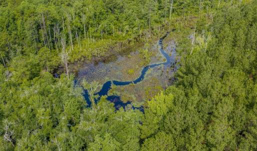 Photo #13 of Off of US Hwy 1, Patrick, SC 17.1 acres