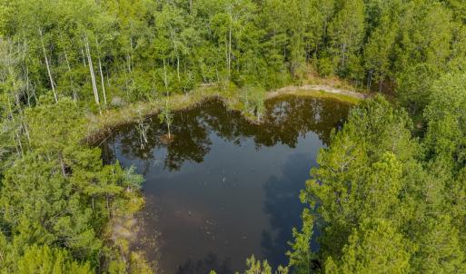 Photo #14 of Off of US Hwy 1, Patrick, SC 17.1 acres