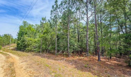 Photo #17 of Off of US Hwy 1, Patrick, SC 17.1 acres