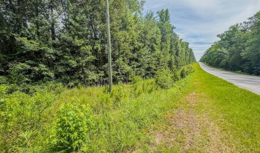 Photo #18 of Off of US Hwy 1, Patrick, SC 17.1 acres