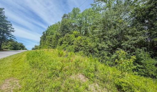 Photo #19 of Off of US Hwy 1, Patrick, SC 17.1 acres