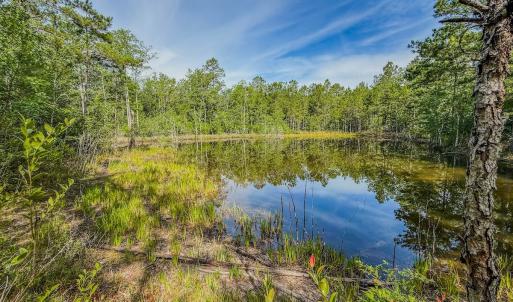 Photo #1 of Off of US Hwy 1, Patrick, SC 17.1 acres