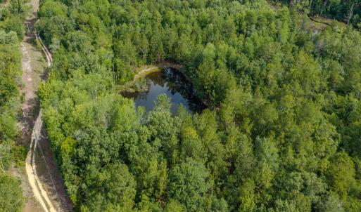 Photo #2 of Off of US Hwy 1, Patrick, SC 17.1 acres