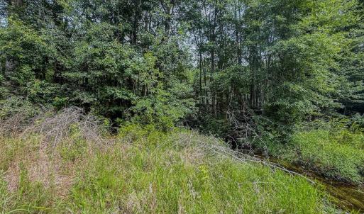 Photo #20 of Off of US Hwy 1, Patrick, SC 17.1 acres