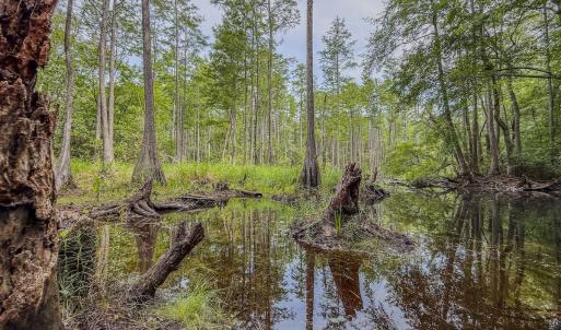 Photo #22 of Off of US Hwy 1, Patrick, SC 17.1 acres