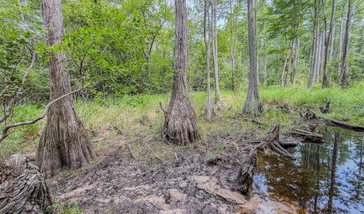 Photo #24 of Off of US Hwy 1, Patrick, SC 17.1 acres