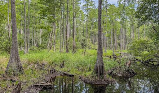 Photo #25 of Off of US Hwy 1, Patrick, SC 17.1 acres