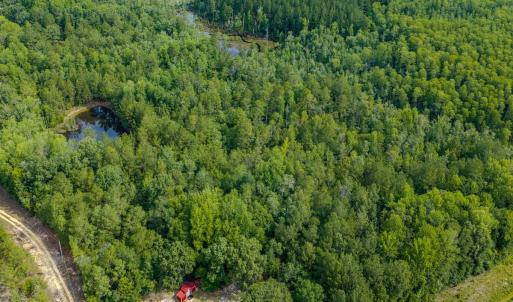 Photo #29 of Off of US Hwy 1, Patrick, SC 17.1 acres