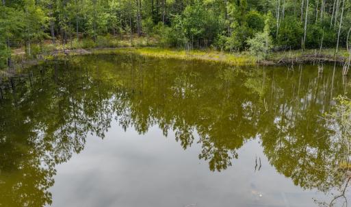 Photo #3 of Off of US Hwy 1, Patrick, SC 17.1 acres