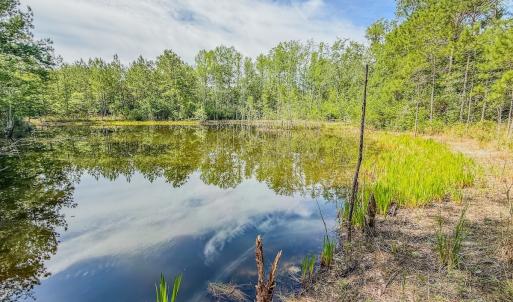 Photo #4 of Off of US Hwy 1, Patrick, SC 17.1 acres